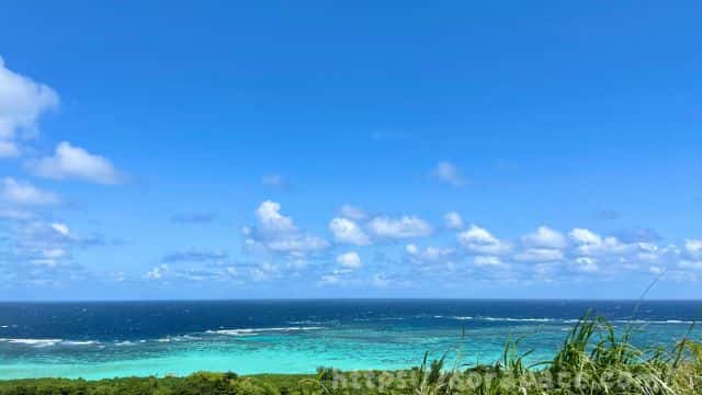 沖縄の海を眺める(筆者撮影)