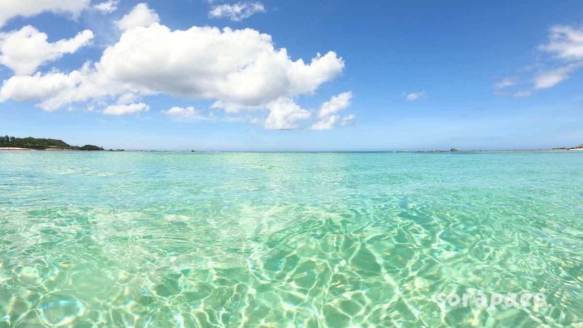 心が疲れた時に行く場所 鹿児島